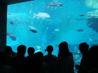 水族館