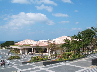 美ら海水族館