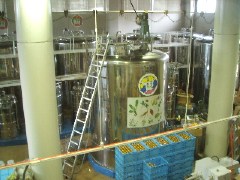 地ビール