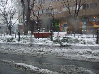 定禅寺通り20090131