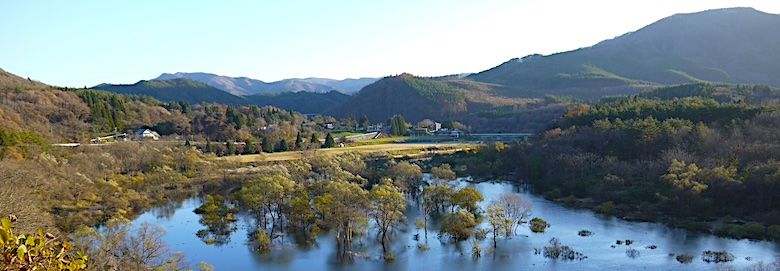 猿ヶ石川 水没林